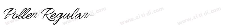 Poller Regular字体转换 Poller Regular字体转换